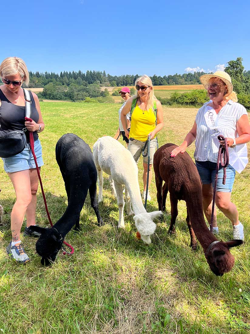 Alpakawanderung Freunde