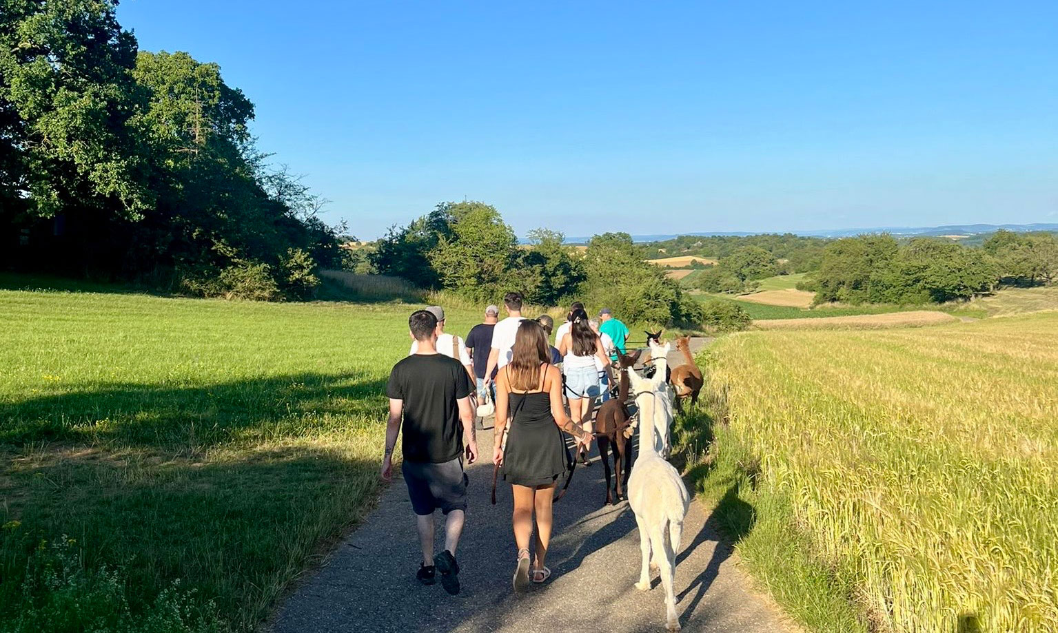 Alpakawanderungen Baden-Württemberg 2026